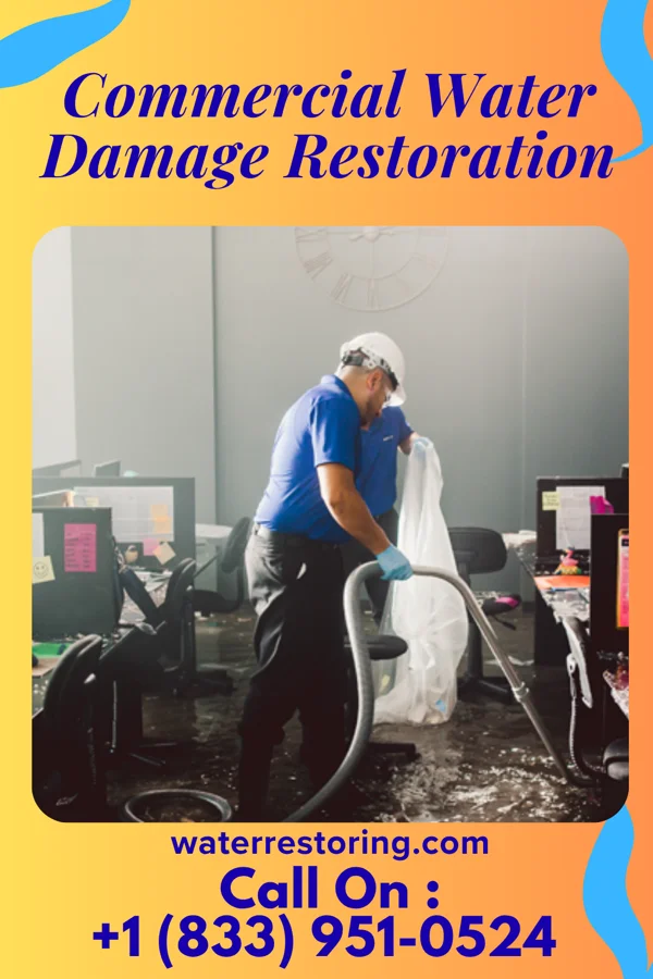 Commercial Water Damage Restoration in North Catasauqua, PA
