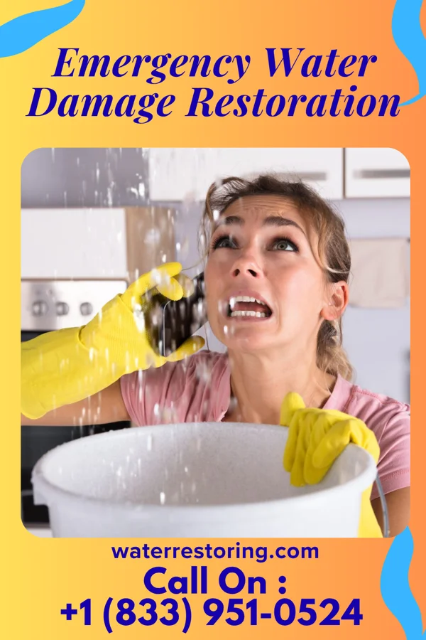 Emergency Water Damage Restoration in North Catasauqua, PA