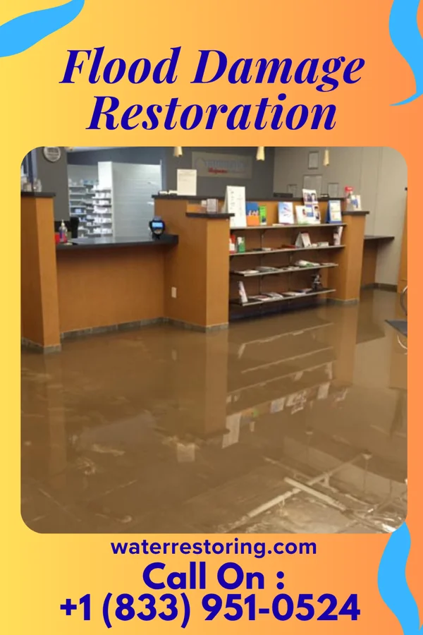 Flood Damage Restoration in North Catasauqua, PA
