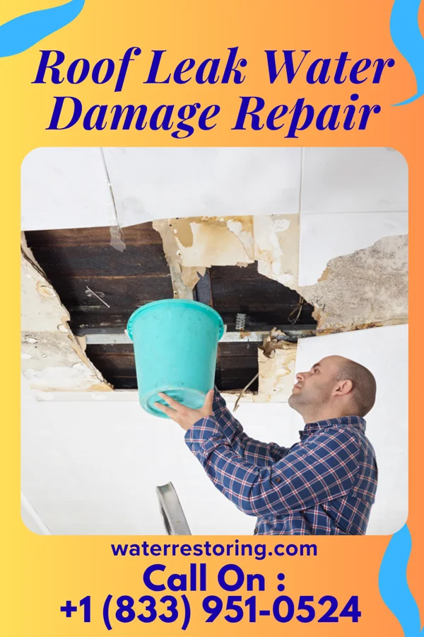 Roof Leak Water Damage Repair in North Catasauqua, PA