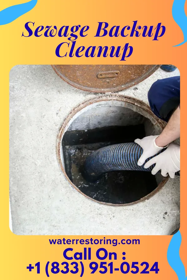 Sewage Backup Cleanup in North Catasauqua, PA