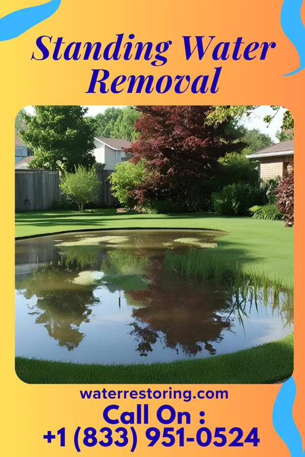 Standing Water Removal in North Catasauqua, PA